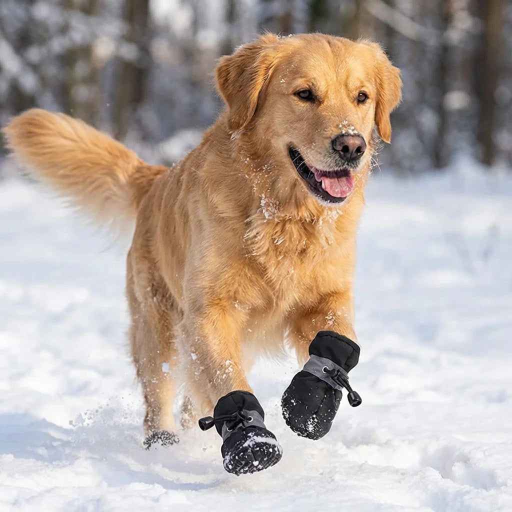 Waterproof Dog Boots for Dogs