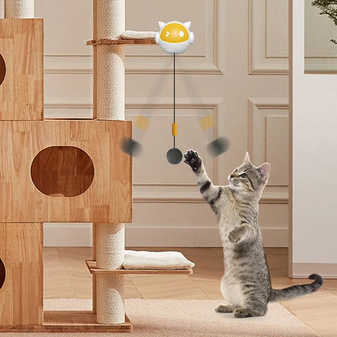 Automatic Lifting Cat Toy Ball