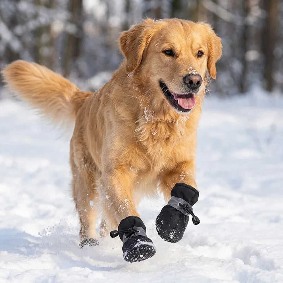 Waterproof Dog Boots for Dogs