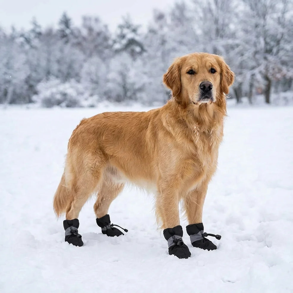 Waterproof Dog Boots for Dogs